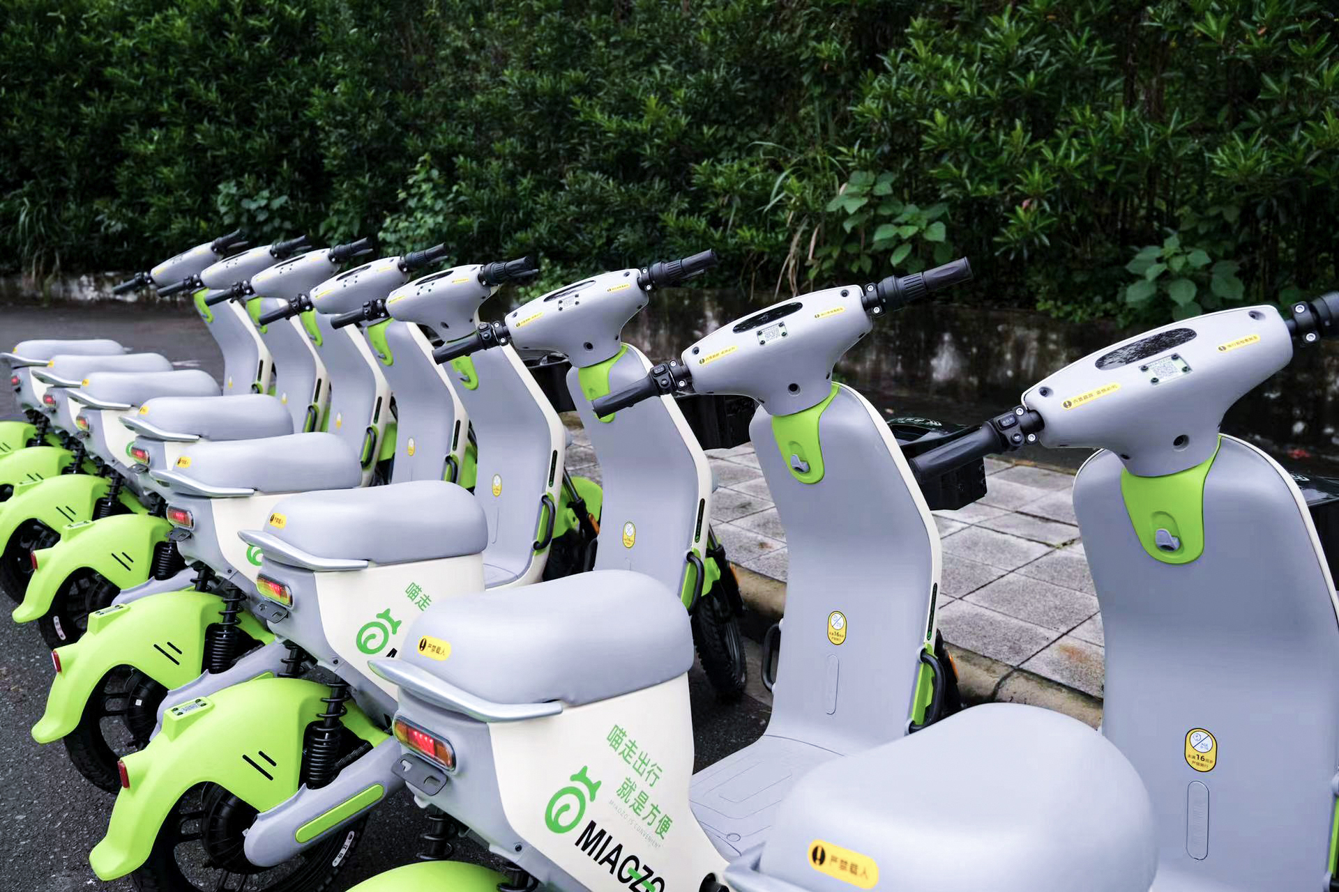 共享電動車需整齊有序擺放 共享電動車需整齊有序擺放